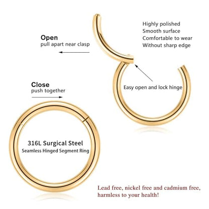18G Nose Hoop Rings Surgical Steel Hinged Segment Clicker Rings 16G Septum Lip Rings 10 PCS Conch Daith Rook Cartilage Tragus Helix Sleeper Lobe Hoop Earrings Piercing Jewelry for Women 6mm to 16mm - color: Gold:10 pcs