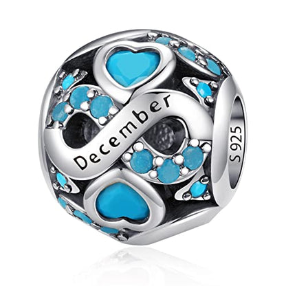 HappyStar 925 Sterling Silver Birthstone Charms fits Charms Bracelets for Woman，with 5A Cubic Zirconia Dangle Pendant Bead,Happy Birthday Charms for Bracelet and Necklace - color: D3 Infinity Symbol December Birthstones
