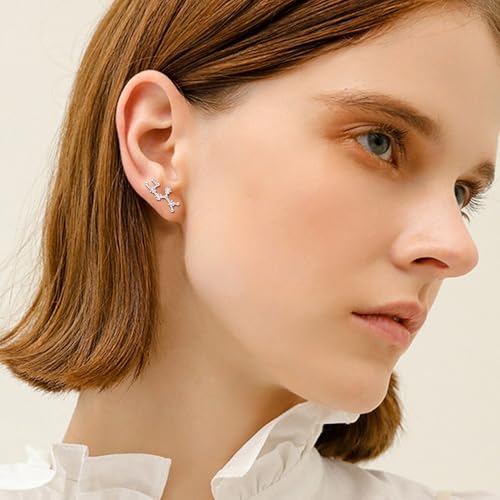 925 Sterling Silver CZ Horoscope Zodiac 12 Constellation Astrology Ear Crawler Post Earrings Gift for Mom Women Mothers Day/Valentines Day/Birthday/Christmas/Anniversary - style: Sagittarius (Nov 22 - Dec 21)