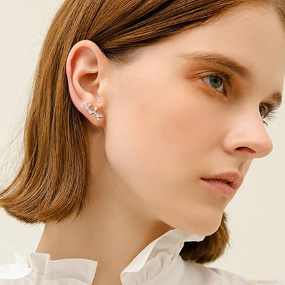 925 Sterling Silver CZ Horoscope Zodiac 12 Constellation Astrology Ear Crawler Post Earrings Gift for Mom Women Mothers Day/Valentines Day/Birthday/Christmas/Anniversary - style: Sagittarius (Nov 22 - Dec 21)