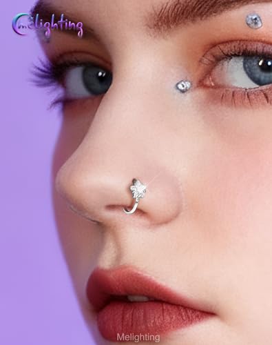 Melighting 20G Seamless Open Nose Rings Set, Star &Heart Nose Ring Hoop Clear CZ, 316L Stainless Steel Jewelry Set for Nostril Septum Cartilage Helix Piercing 8 mm - style: Style1