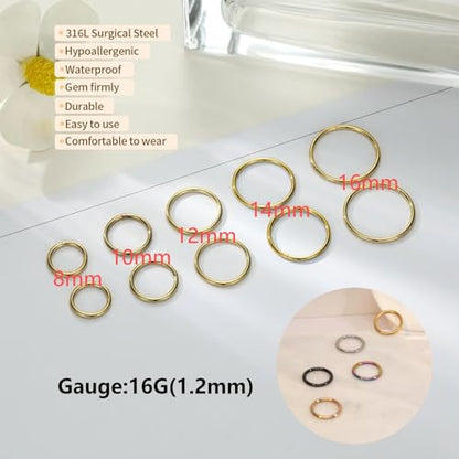 18G Nose Hoop Rings Surgical Steel Hinged Segment Clicker Rings 16G Septum Lip Rings 10 PCS Conch Daith Rook Cartilage Tragus Helix Sleeper Lobe Hoop Earrings Piercing Jewelry for Women 6mm to 16mm - color: Silver:10 pcs
