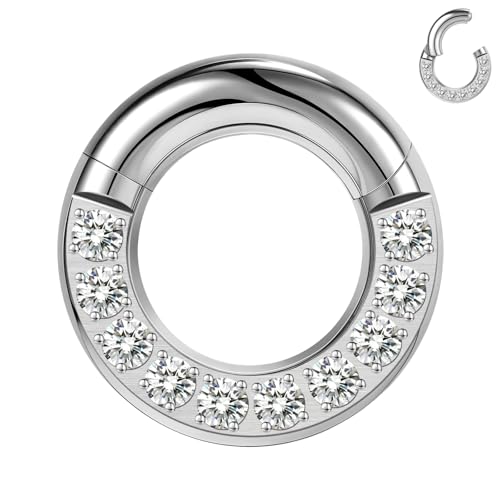 CZ Hinged Segment Clicker PA Rings, 2G 4G 6G 8G 10G 12G Large Septum Nose Rings, Surgical Steel Spring Action BCR Ring Ear Gauges Earrings Hoops - color: 8G(3mm),Hoops:16mm