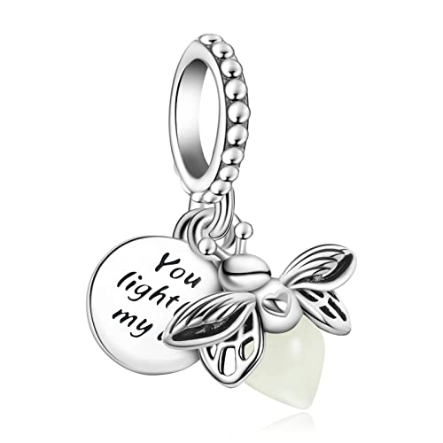 10 Pack Silver Bead Charms for Bracelets and Necklaces Pendant Dangle Beads Jewelry Gifts for Women Charm Set - color: Heart Animals