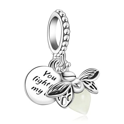 10 Pack Silver Bead Charms for Bracelets and Necklaces Pendant Dangle Beads Jewelry Gifts for Women Charm Set - color: Heart Animals