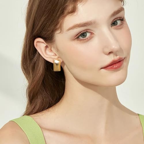 FANZE 2 Pairs Matte Gold Sliver Clip on Earrings for Women No Piercing | No Piercing Button Earring Comfortable Fashion Jewelry Gift - color: Set-9