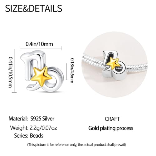 925 Sterling Silver 12 Astrological Signs Charm for Bracelets and Necklace Happy Birthday Charms for Bracelet and Necklace Valentine's Day Mother's Day Gift - style: Capricornus Charm