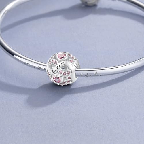 HappyStar 925 Sterling Silver Birthstone Charms fits Charms Bracelets for Woman，with 5A Cubic Zirconia Dangle Pendant Bead,Happy Birthday Charms for Bracelet and Necklace - color: C6 lnfinity Symbol June Birthstones