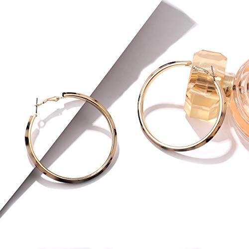 Acrylic Earrings Lightweight Hoop Earrings Statement Resin Drop Dangle Stud Earrings Fashion Jewelry For Women - color: Leopard