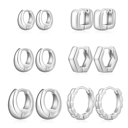 Wgoud Small Gold Hoop Earrings Set for Women, 6 Pairs 14K Gold Plated Hypoallergenic Lightweight Huggie Hoops Earrings, Trendy Cartilage Cubic Zirconia Earrings for Women Gifts. - color: 03Silver