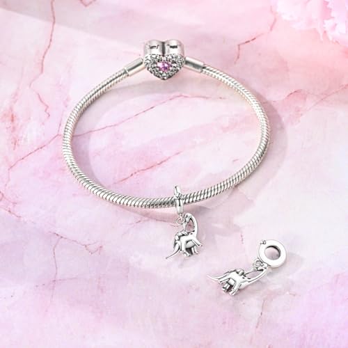 Hapour 925 Sterling Silver Charm for Bracelet Necklace Women Pendant Beads | Virgin Mary Charm, Religious Cross Heart Dragon European Jewelry Mom Charm - color: Parent-child winding Dragon