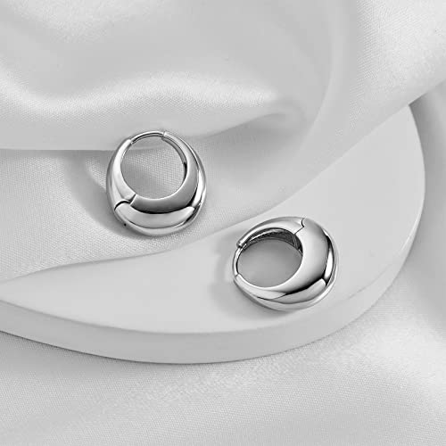 Chunky Hoop Earrings for Women 14K Gold Plated Small Huggie Hoops Lightweight Hypoallergenic Jewelry Gift - style: Simple Hoop-silver tone