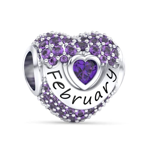 Birthstone Charms Love Heart Openwork Bead Charm for Women Bracelets and Necklaces 925 Sterling Silver with 5A Cubic Zirconia,Jewelry Gifts Women - color: Silver February Birthstone Charms