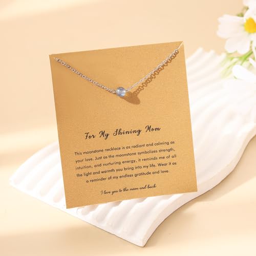 RZKING Silvery Necklace for Women, Gifts for Friend Mom Daughter Teacher - style: Moonstone