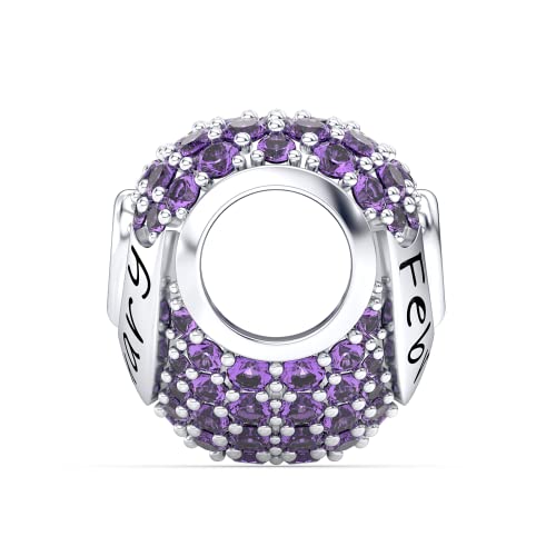Birthstone Charms Love Heart Openwork Bead Charm for Women Bracelets and Necklaces 925 Sterling Silver with 5A Cubic Zirconia,Jewelry Gifts Women - color: Silver February Birthstone Charms