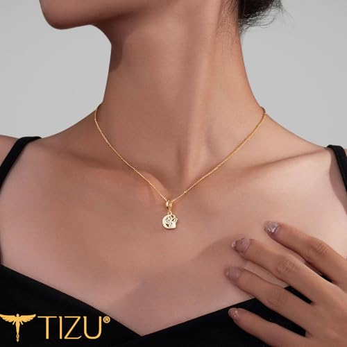 TIZU Initial Necklaces for Women - Dainty 14K Gold Plated Letter Pendant Trendy Personalized Initial A-Z Necklaces Jewelry Gift - color: Gold-G