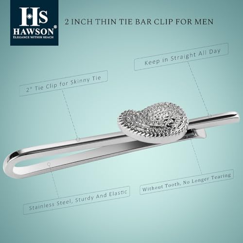 HAWSON Various Tie Clips for Men Unique, Funny Novelty Mens Tie Bar, Personalized Tie Pins for Men, Theme Wedding Party Gifts - style: Paisley Swirl