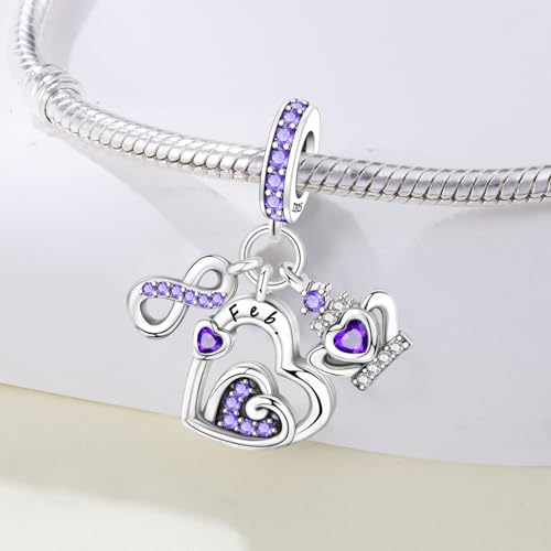 3PCS Birthstone Stone Charms for Charms Bracelet 925 Sterling Silver Infinity Love Heart Crown Dangle Charms Spacer Stopper Beads for Bracelets and Necklaces, Birthday Mother's Day Christmas Gifts For Women. - color: 02 Feb. 3PCS