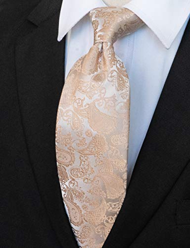 JEMYGINS Mens Solid Color Paisley Necktie and Pocket Square with Tie Clip Sets - color: Champagne