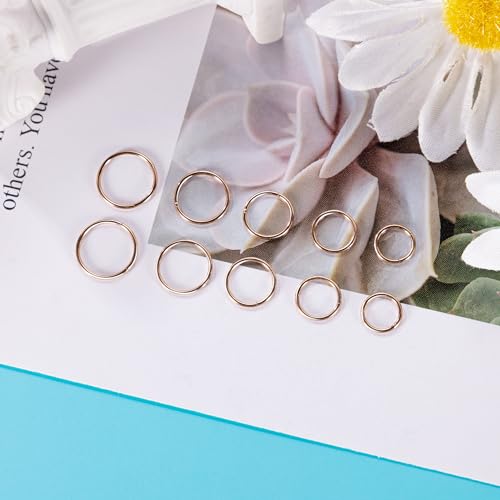 10Pcs 18G 20G Surgical Steel Nose Rings Hoops for Women Men Hinged Seamless Clicker Nose Hoops Cartilage Helix Tragus Daith Sleeper Earrings Hoop Hypoallergenic Nose Piercing 6/7/8/9/10MM - color: rose gold, size: 18G