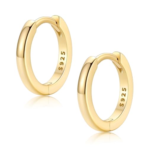 FaithHeart Solid 925 Sterling Silver Small Huggie Hoop Earrings for Women | Silver/Black/Gold/Rose Gold Small Hoop Earrings, Hypoallergenic Lightweight Cartilage Huggie Earrings, Gift Box - color: 01. Blank-Gold, size: 10mm