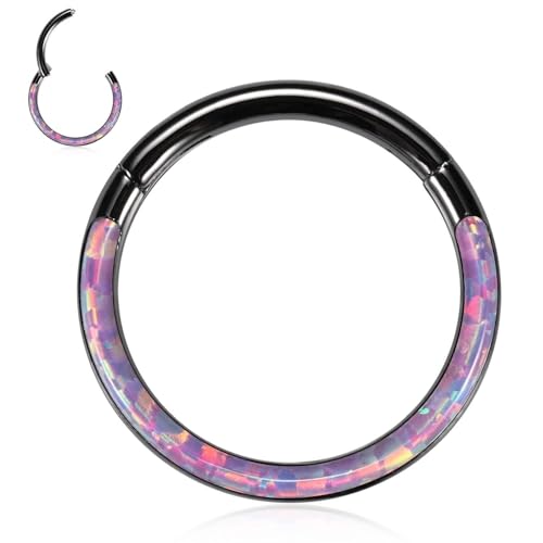 Opal Septum Jewelry Surgical Steel Septum Ring Daith Rook Tragus Earring | Hinged Segment Nose Hoop Ring,Hypoallergenic Septum Piercings for Women,Conch Cartilage Helix Jewelry,Diameter 6mm to 10mm - color: Black,Purple Opal, size: 16G 10mm