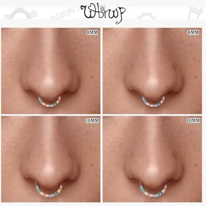 WBRWP 316L Stainless Steel Nose Hoop Rings Clicker with Zircon/Opal 14g-20g | Hypoallergenic Nose Rings Segment Clicker Lip Rings Cartilage Rook Conch Earrings Diameter 5mm-10mm - color: Flat silver ring with colorful zircon-1pc pack
