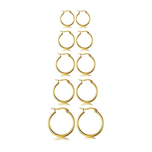 5-10 Pairs Small Gold Silver Hoop Earrings for Women, Stainless Steel Earrings Set Mens Lightweight Thin Hypoallergenic Small Hoops Set - style: 5pcs-Gold 8-16mm