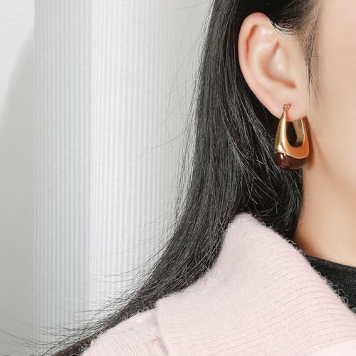 Brown Earrings Circle Chunky Earrings for Women Trendy 18K Gold Plated Stud Hoop Stainless Steel Hypoallergenic - color: Brown Hoop