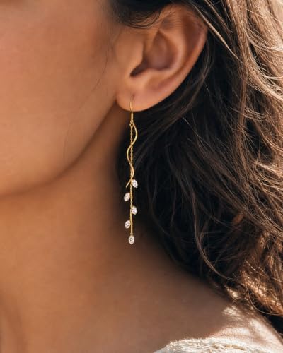 Dangle Earrings for Women - 14K Gold/White Gold/Rose Gold Plated Butterfly Heart Star Hoop Chain Long Tassel Cubic Zirconia CZ Dangle Earrings - color: gold twist fish hook