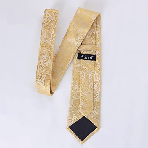 Alizeal Mens Gradient Paisley Necktie and Pocket Square Set | Elegant Design Perfect for Weddings Banquets Business Formal Events - color: 170-champagne