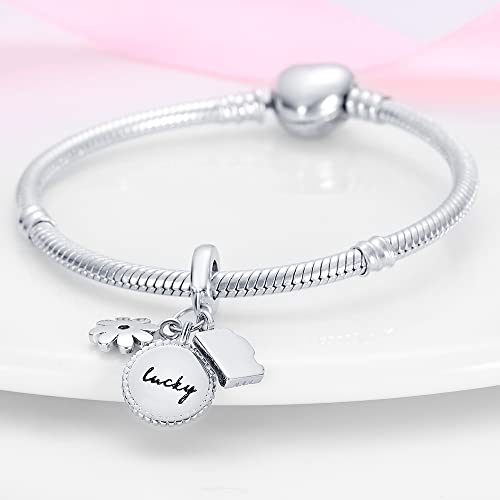 Pandach 925 Sterling Silver Charms Beads for Bracelets and Necklaces Butterfly and Headphones Pendants Clover Charms Jewelry Gift for Women - style: Travel Camera Flowers Charm