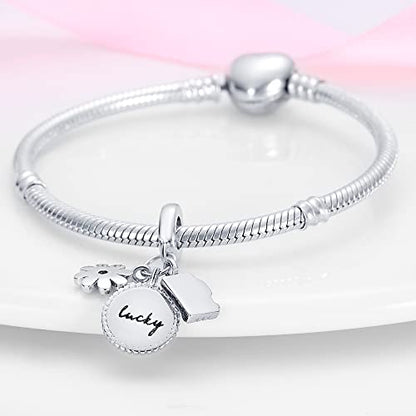 Pandach 925 Sterling Silver Charms Beads for Bracelets and Necklaces Butterfly and Headphones Pendants Clover Charms Jewelry Gift for Women - style: Travel Camera Flowers Charm