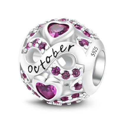 MICOO 925 Sterling Silver Jan-Dec Birthstone Charms For Bracelets and Necklaces, Original DIY Bead Charms With Cubic Zirconias Jewelry Birthday Gifts For Women. - color: 91-10Oct Birthstone charm