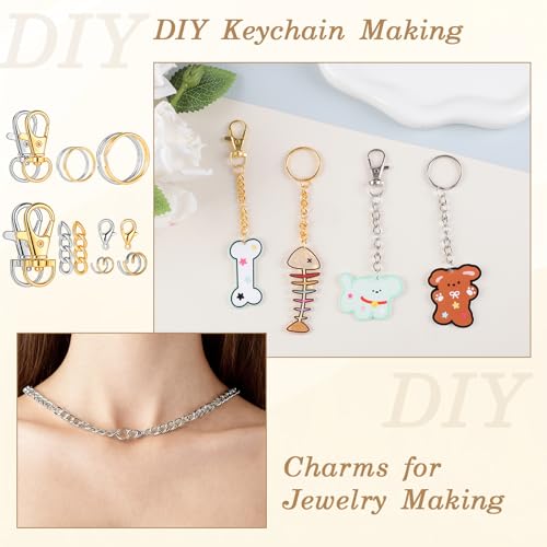 BESARME 1130PCS Keychain Making Kit Jump Rings for Jewelry DIY Key chain Supplies with Keyrings Bulk, Metal Lobster Claw Clasp, Swivel Snap Hook, Extender Chain for Crafts Accessories（Gold and Silver） - color: Gold and Silver