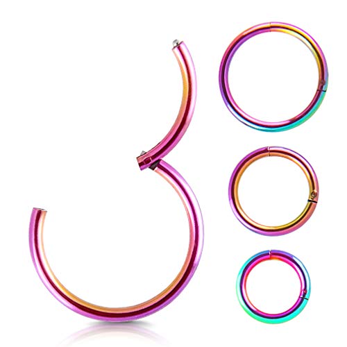 4Pcs 16G 18G 20G Surgical-Steel-Piercing-Ring-Nose-Rings-Hinged-Hoop-Earrings,6mm 8mm 10mm 12mm Seamless Stainless Steel Clicker Eyebrow Septum Piercing Hoop,Sliver Black Gold Rose Gold Rainbow Body Jewelry Set - color: 16G Rainbow