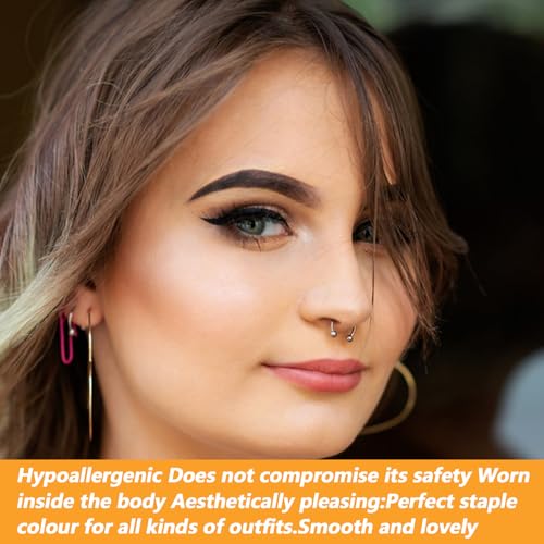 Yolev 24PCS 16G Variety of Sizes Horseshoe Rings Surgical Steel Nose Septum Horseshoe Hoop Earring Eyebrow Septum Rings Hoop Daith Earring Eyebrow Helix Vertical Lip Piercing Jewelry for Women Men