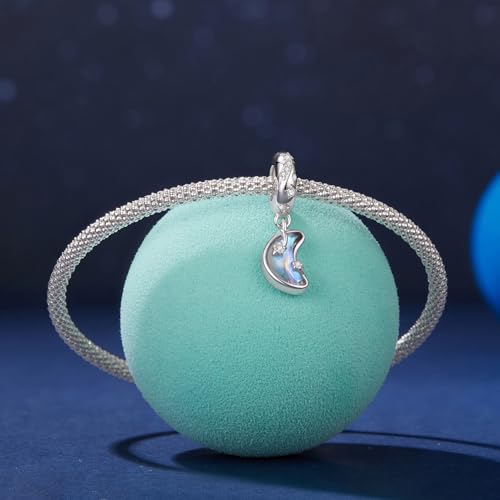 Animal Charms for Bracelets 925 Sterling Silver Bead Charms Bee Butterfly Fox Charm Fits Bracelets and Necklaces Cute Charms for Women - color: Moonlight Shooting Star