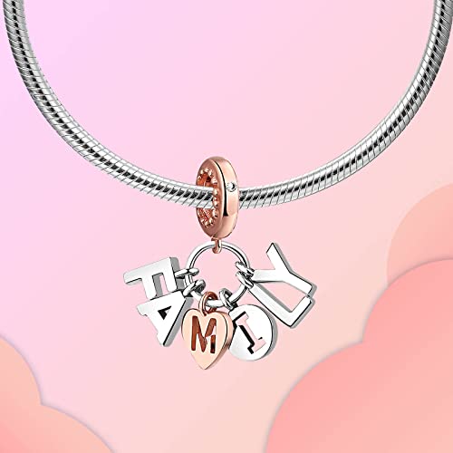 Family Love Mother Daughter Grandma Charm 925 Sterling Silver fits Bracelets Necklace Pendant Bead Charms Jewelry Gift for Women Family Friends - color: Family Charm