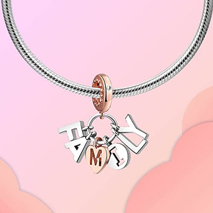 Family Love Mother Daughter Grandma Charm 925 Sterling Silver fits Bracelets Necklace Pendant Bead Charms Jewelry Gift for Women Family Friends - color: Family Charm