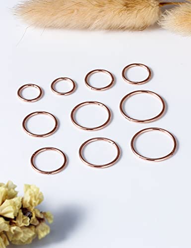 Vsnnsns 14G 16G Septum Nose Rings Hoops Lip Ring Piercing Jewelry 316L Surgical Steel Hinged Segment Clicker Cartilage Tragus Helix Conch Rook Daith Lobe Earrings Hoops Piercing Jewelry for Women Men - color: 16G-Rose Gold