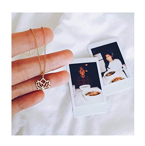 Baydurcan Friendship Anchor Compass Necklace Good Luck Elephant Pendant Chain Necklace with Message Card Gift Card - style: Louts flower