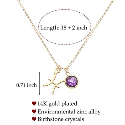 14k Gold Plated Zodiac Birthstone Crystal Pendant Necklace, Horoscope Sign Charm Necklace for Women Birthday Gift - color: Pisces-Feb.
