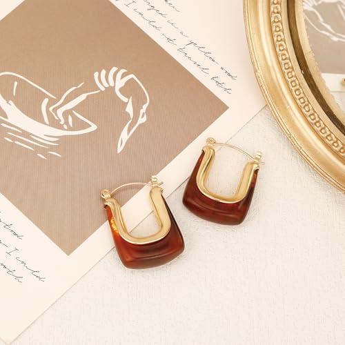Dr's gift Chunky Leopard Print Earrings for Women 14K Gold Plated Statement Huggie Hoop Earrings Brown Acrylic Tortoise Resin Cheetah Trendy Jewelry - color: Brown 2