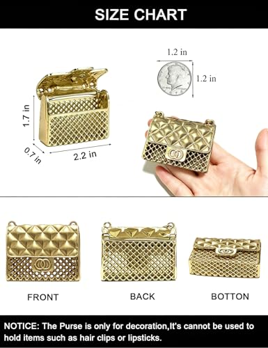 BEMYLV Mini Chain Belt Purse Gold Waist Bag for Women Fashion Fanny Pack | Trendy Detachable Waist Purse Cute Bag for Dresses Jeans - color: Anti-Gold