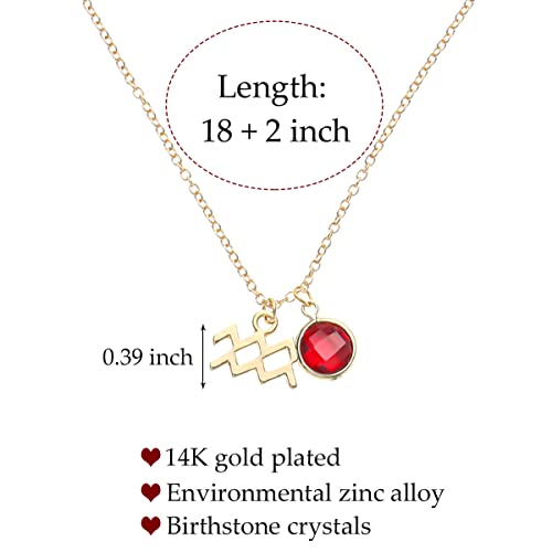 14k Gold Plated Zodiac Birthstone Crystal Pendant Necklace, Horoscope Sign Charm Necklace for Women Birthday Gift - color: Aquarius-Jan.