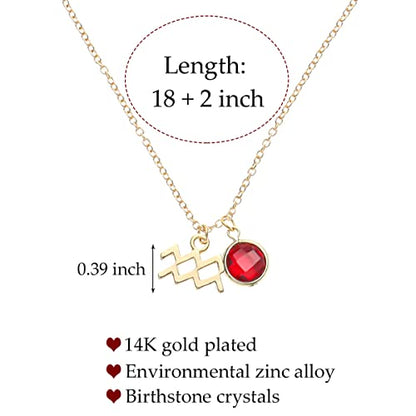 14k Gold Plated Zodiac Birthstone Crystal Pendant Necklace, Horoscope Sign Charm Necklace for Women Birthday Gift - color: Aquarius-Jan.