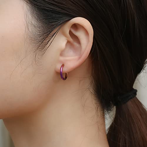 316L Surgical Stainless Steel Small Hoop Earrings 8mm 10mm 12mm 14mm Hypoallergenic Huggie Hoop Earrings Helix Lobes Hinged Sleeper Earrings Cartilage Piercings - color: C: Diameter 12mm (6 Color),6 Pairs