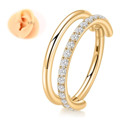 Cartilage Earring Hoop 316L Surgical Steel Conch Piercing Jewelry 16/18G Double Rows Nose Rings Hoops Hinged Segment Clicker Helix Rook Daith Piercing Jewelry 6/8/10/12mm - color: D2-Gold, size: 16G-8mm