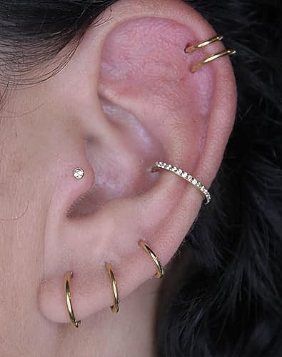 316L Stainless Steel Hoop Earrings, Hinged Segment Earrings Hoop, Cartilage Helix Conch Daith Septum Earrings Hoops - color: Gold, size: 1.0*5mm